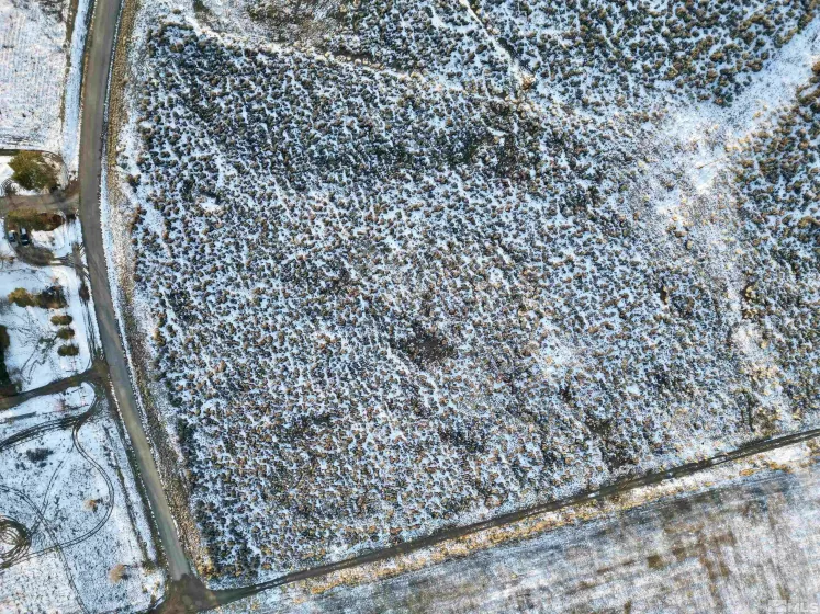 187 Flowing Wells, Spring Creek, Nevada 89815, ,Land,Residential,Flowing Wells,250002862