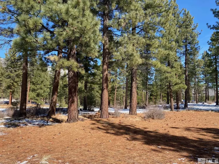 238 Redding, Carson City, Nevada 89705, ,Land,Residential,Redding,250002905