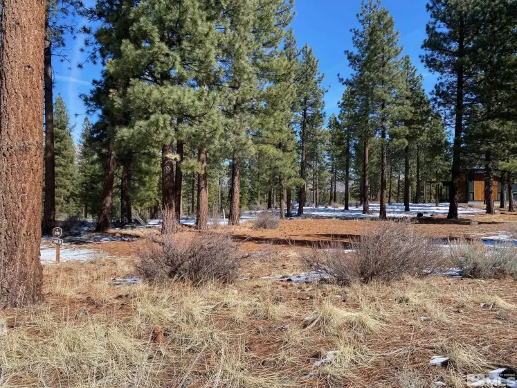 238 Redding, Carson City, Nevada 89705, ,Land,Residential,Redding,250002905