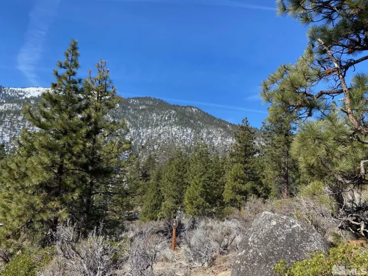 180 Scenic Range, Carson City, Nevada 89705, ,Land,Residential,Scenic Range,250002897