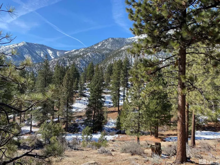 180 Scenic Range, Carson City, Nevada 89705, ,Land,Residential,Scenic Range,250002897