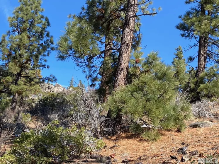 180 Scenic Range, Carson City, Nevada 89705, ,Land,Residential,Scenic Range,250002897