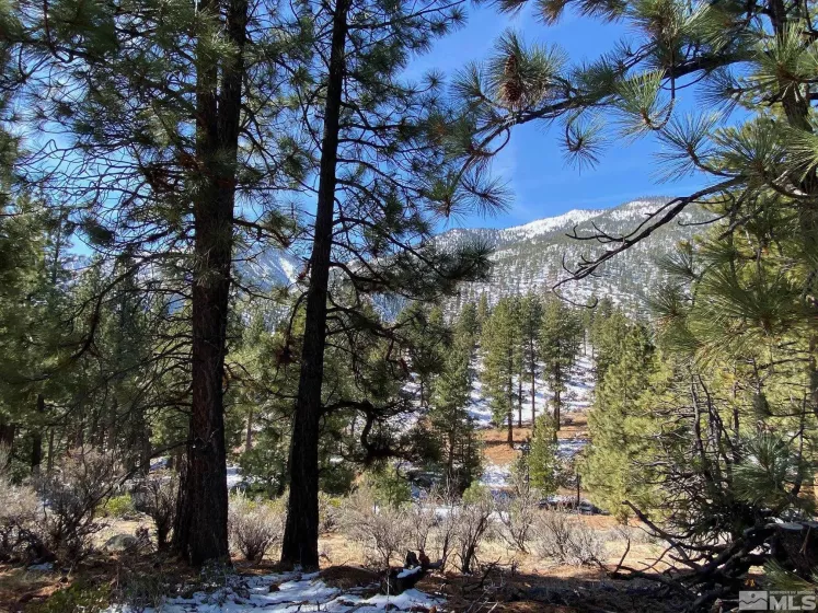 180 Scenic Range, Carson City, Nevada 89705, ,Land,Residential,Scenic Range,250002897