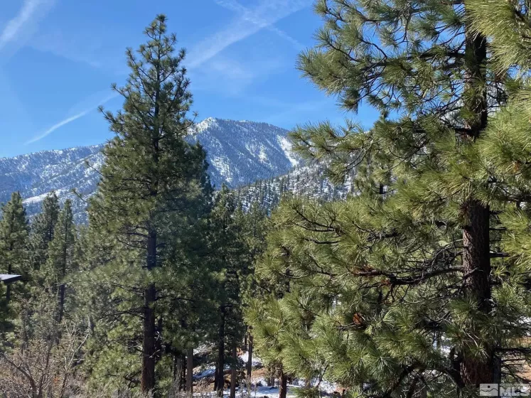 180 Scenic Range, Carson City, Nevada 89705, ,Land,Residential,Scenic Range,250002897