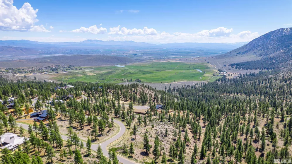 183 Duane Bliss, Carson City, Nevada 89705, ,Land,Residential,Duane Bliss,250002577