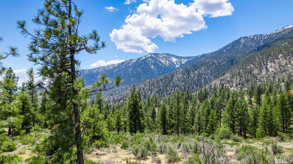 183 Duane Bliss, Carson City, Nevada 89705, ,Land,Residential,Duane Bliss,250002577