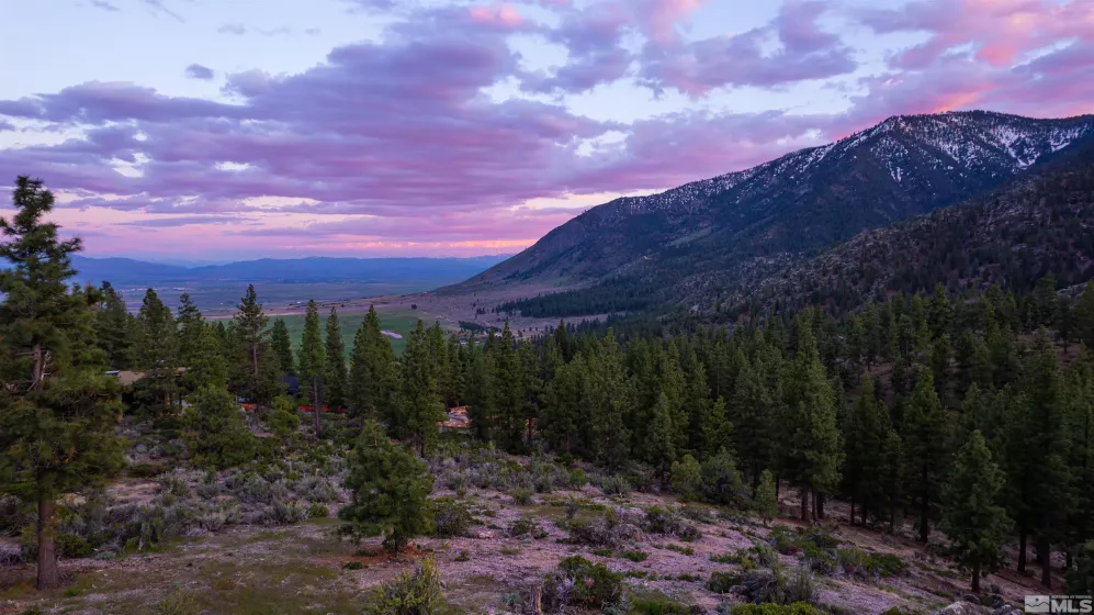 183 Duane Bliss, Carson City, Nevada 89705, ,Land,Residential,Duane Bliss,250002577