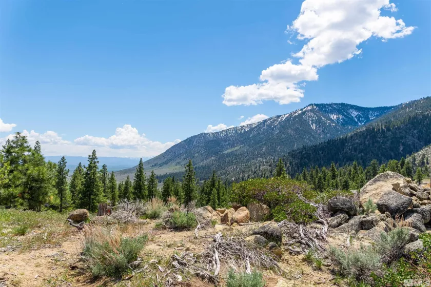 183 Duane Bliss, Carson City, Nevada 89705, ,Land,Residential,Duane Bliss,250002577