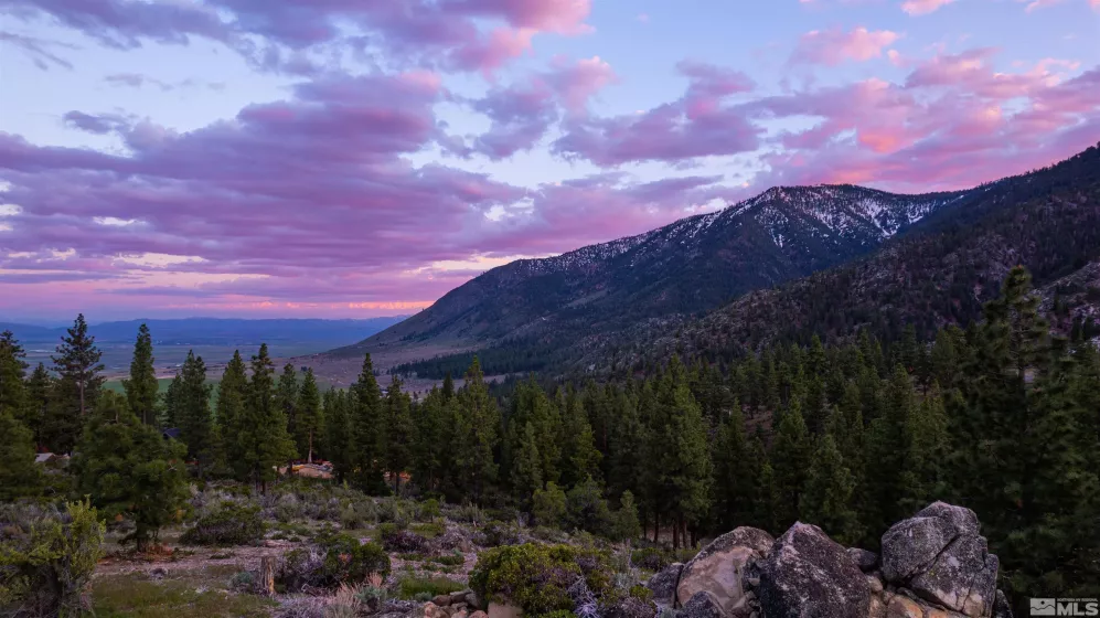183 Duane Bliss, Carson City, Nevada 89705, ,Land,Residential,Duane Bliss,250002577