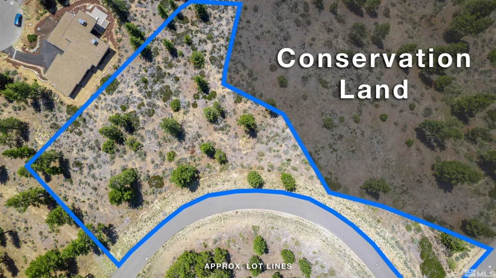 183 Duane Bliss, Carson City, Nevada 89705, ,Land,Residential,Duane Bliss,250002577