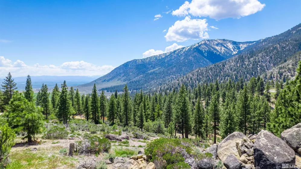 183 Duane Bliss, Carson City, Nevada 89705, ,Land,Residential,Duane Bliss,250002577