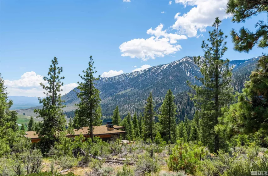 183 Duane Bliss, Carson City, Nevada 89705, ,Land,Residential,Duane Bliss,250002577