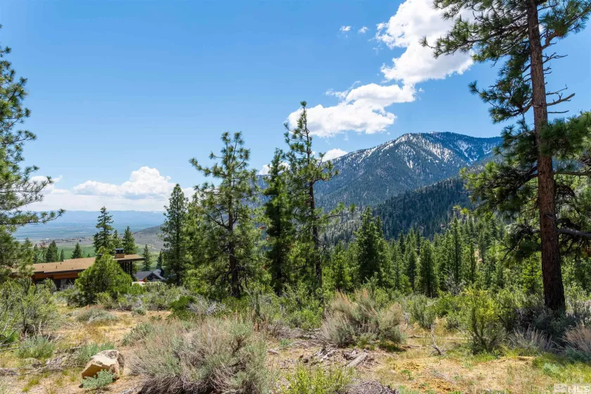 183 Duane Bliss, Carson City, Nevada 89705, ,Land,Residential,Duane Bliss,250002577