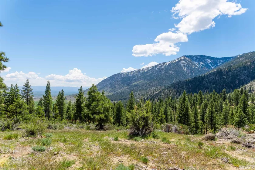 183 Duane Bliss, Carson City, Nevada 89705, ,Land,Residential,Duane Bliss,250002577