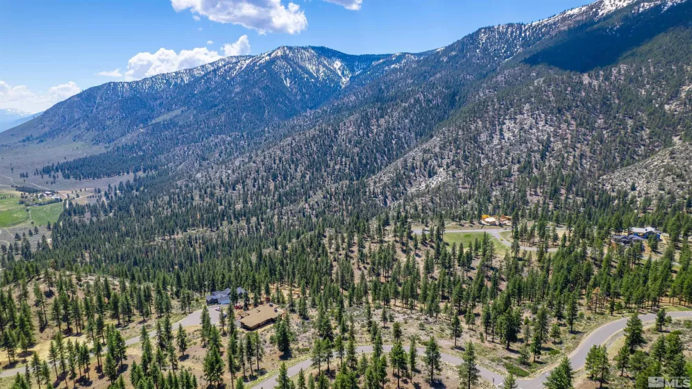 183 Duane Bliss, Carson City, Nevada 89705, ,Land,Residential,Duane Bliss,250002577