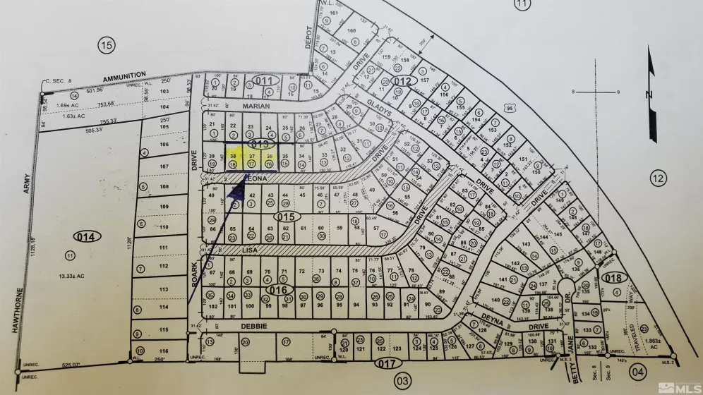 Lots 36 37 38, Walker Lake, Nevada 89415, ,Land,Residential,Lots 36 37 38,250002524