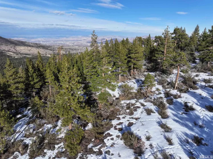 123 Mountain Haven, Reno, Nevada 89511, ,Land,Residential,Mountain Haven,250002476