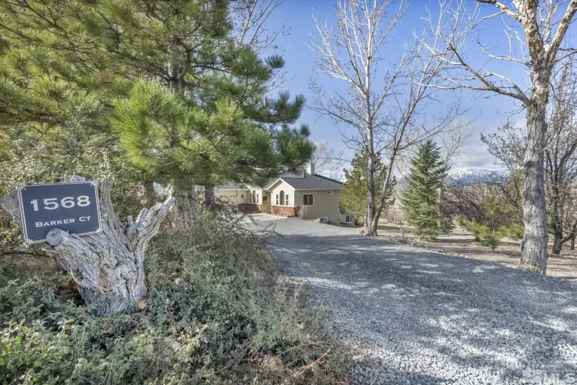 1568 Barker, Gardnerville, Nevada 89410, 5 Bedrooms Bedrooms, ,4 BathroomsBathrooms,Residential,Residential,Barker,250004026