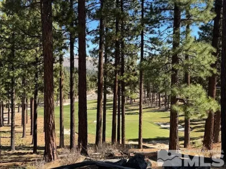 194 Cartwright, Carson City, Nevada 89705, ,Land,Residential,Cartwright,250003744