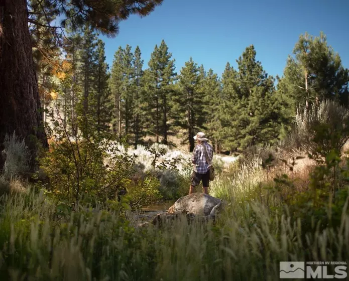 194 Cartwright, Carson City, Nevada 89705, ,Land,Residential,Cartwright,250003744