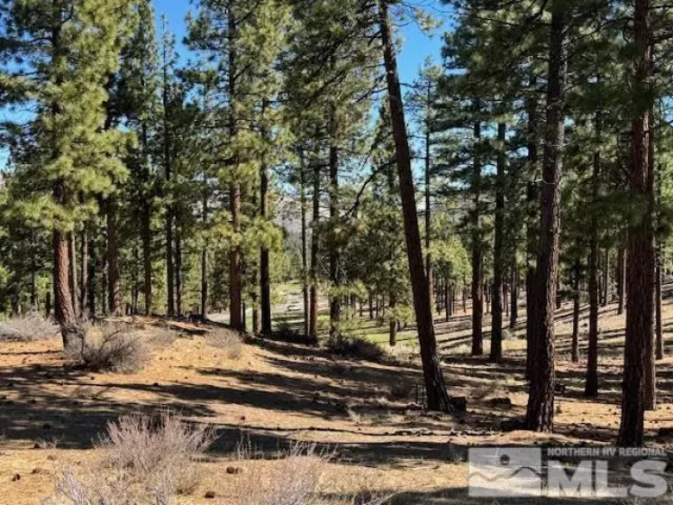 194 Cartwright, Carson City, Nevada 89705, ,Land,Residential,Cartwright,250003744