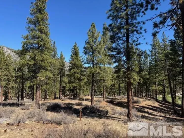 194 Cartwright, Carson City, Nevada 89705, ,Land,Residential,Cartwright,250003744