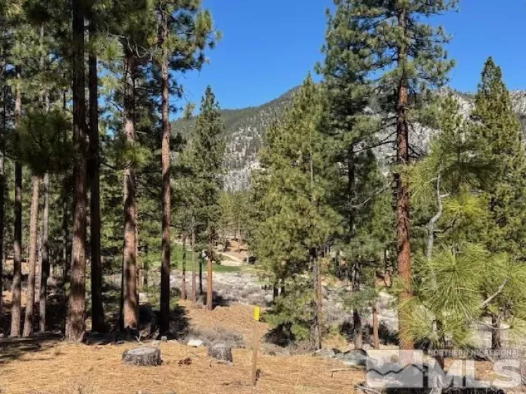 194 Cartwright, Carson City, Nevada 89705, ,Land,Residential,Cartwright,250003744