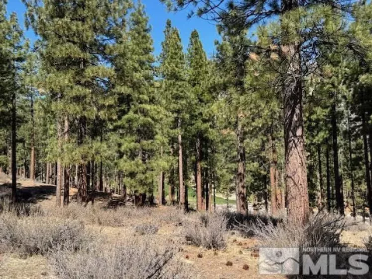 194 Cartwright, Carson City, Nevada 89705, ,Land,Residential,Cartwright,250003744