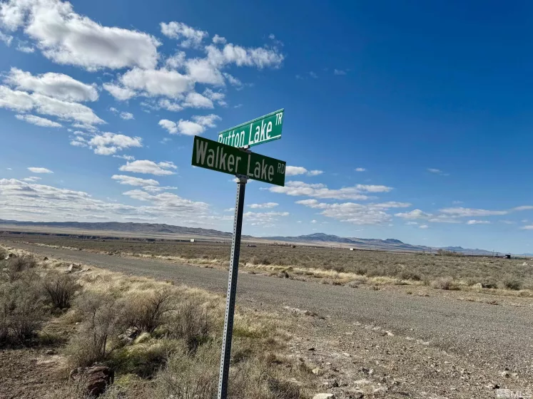 22580 Button Lake, Lovelock, Nevada 89419, ,Land,Residential,Button Lake,250003866