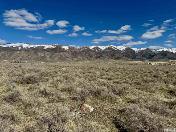 22580 Button Lake, Lovelock, Nevada 89419, ,Land,Residential,Button Lake,250003866