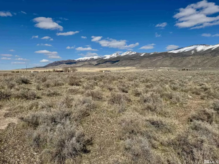 22580 Button Lake, Lovelock, Nevada 89419, ,Land,Residential,Button Lake,250003866
