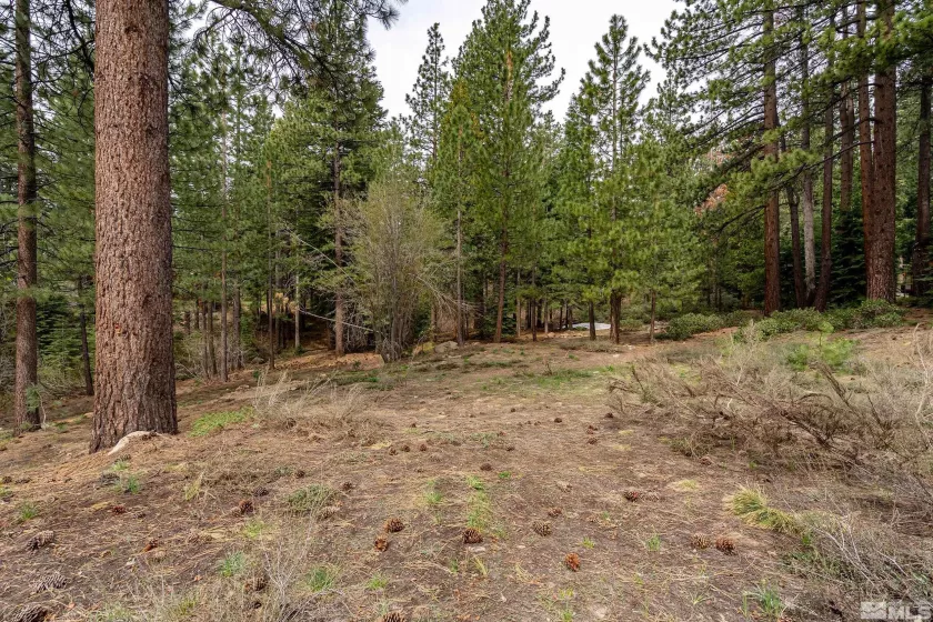 585 Village, Incline Village, Nevada 89451, ,Land,Residential,Village,250003225