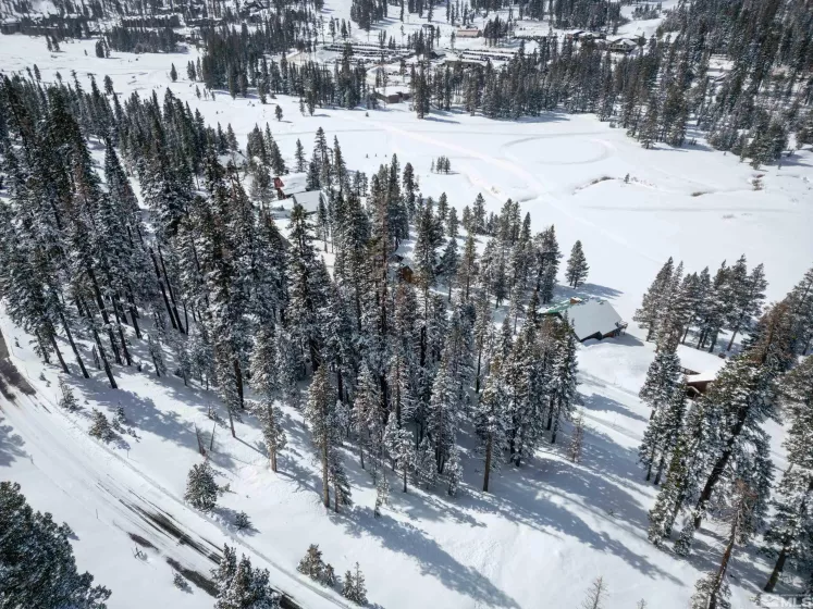 529 Meadows, Markleeville, California, ,Land,Residential,Meadows,250003541
