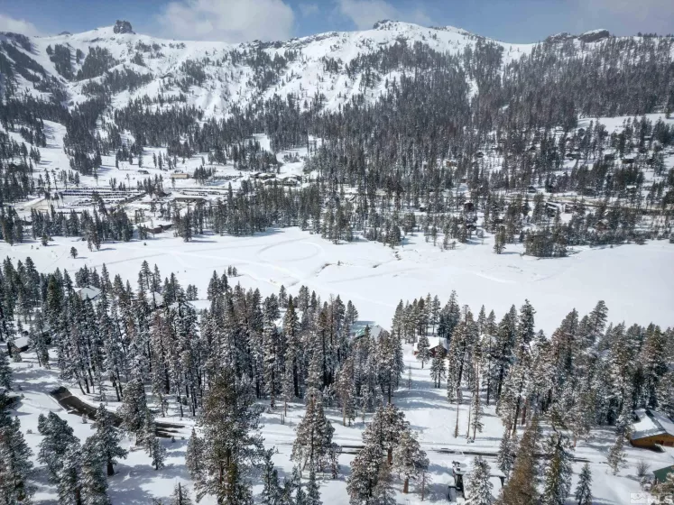 529 Meadows, Markleeville, California, ,Land,Residential,Meadows,250003541