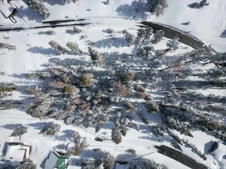 529 Meadows, Markleeville, California, ,Land,Residential,Meadows,250003541