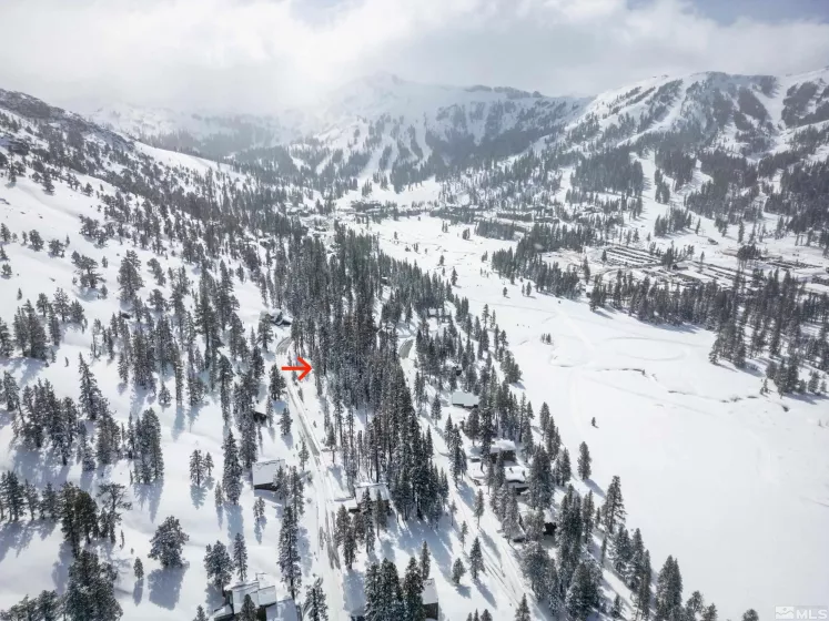 529 Meadows, Markleeville, California, ,Land,Residential,Meadows,250003541