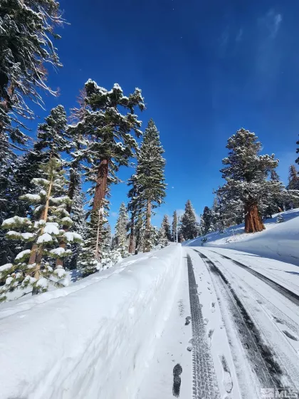 529 Meadows, Markleeville, California, ,Land,Residential,Meadows,250003541