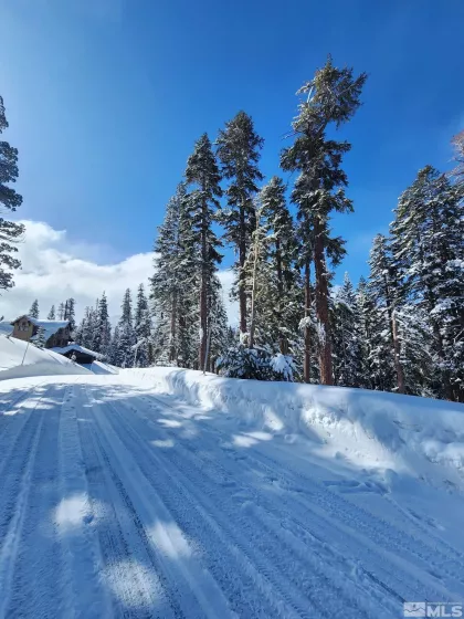 529 Meadows, Markleeville, California, ,Land,Residential,Meadows,250003541