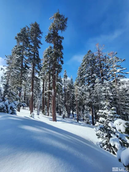 529 Meadows, Markleeville, California, ,Land,Residential,Meadows,250003541