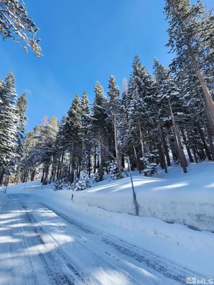 529 Meadows, Markleeville, California, ,Land,Residential,Meadows,250003541