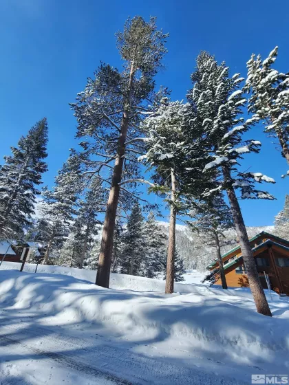 529 Meadows, Markleeville, California, ,Land,Residential,Meadows,250003541