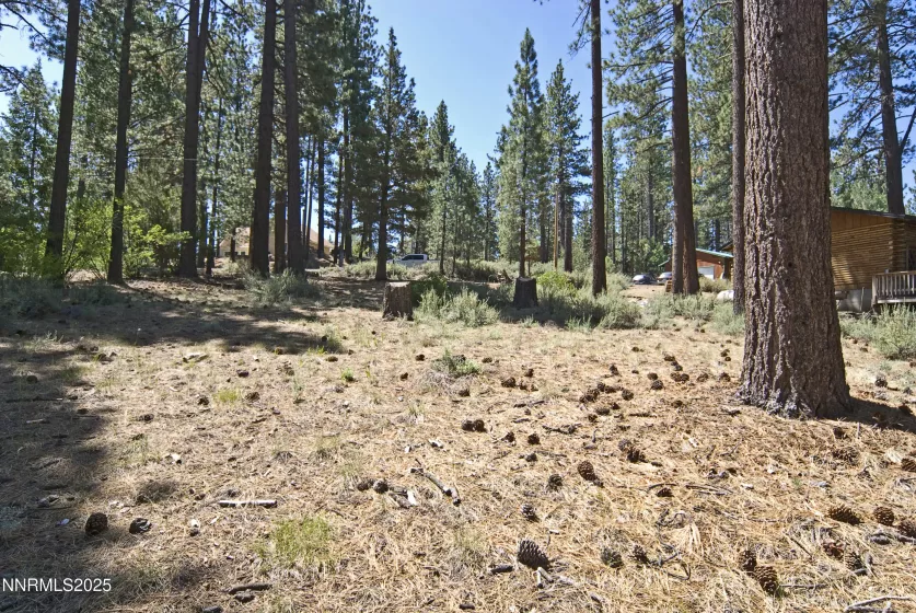 50 Pinon, Markleeville, California 96120, ,Land,Residential,Pinon,250003510