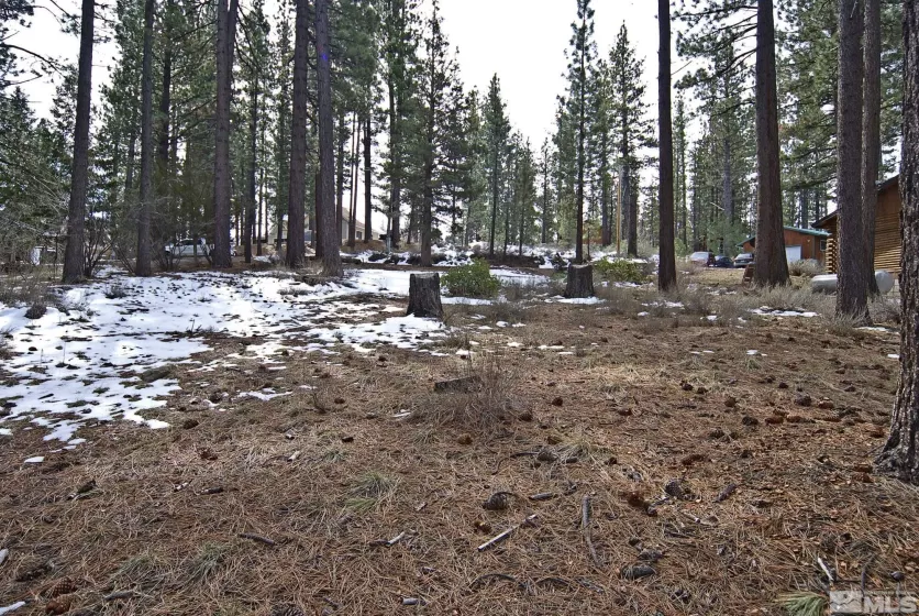 50 Pinon, Markleeville, California 96120, ,Land,Residential,Pinon,250003510