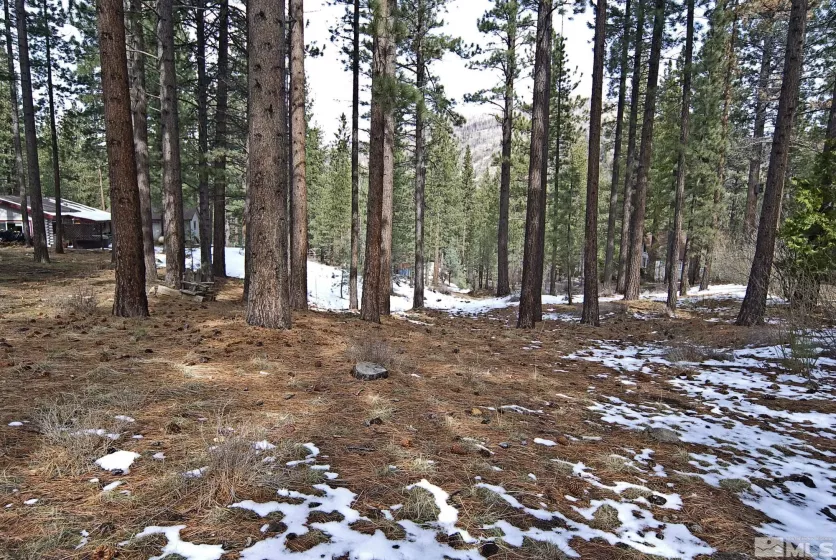 50 Pinon, Markleeville, California 96120, ,Land,Residential,Pinon,250003510