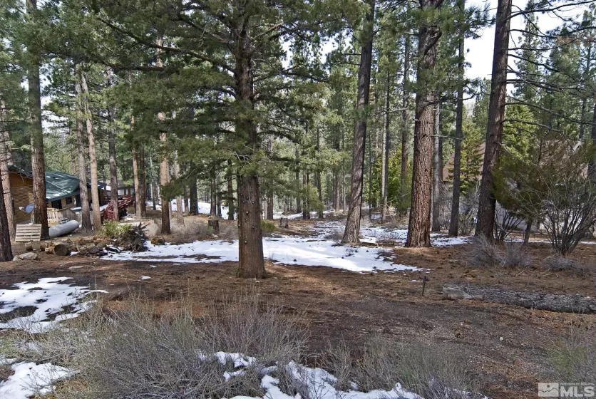 50 Pinon, Markleeville, California 96120, ,Land,Residential,Pinon,250003510