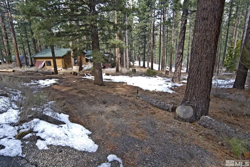 50 Pinon, Markleeville, California 96120, ,Land,Residential,Pinon,250003510