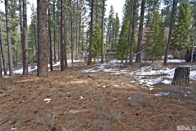 50 Pinon, Markleeville, California 96120, ,Land,Residential,Pinon,250003510