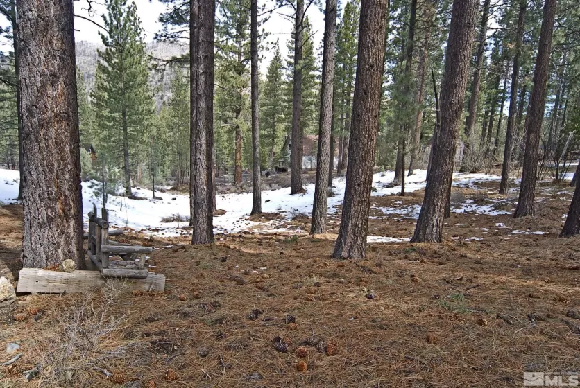 50 Pinon, Markleeville, California 96120, ,Land,Residential,Pinon,250003510