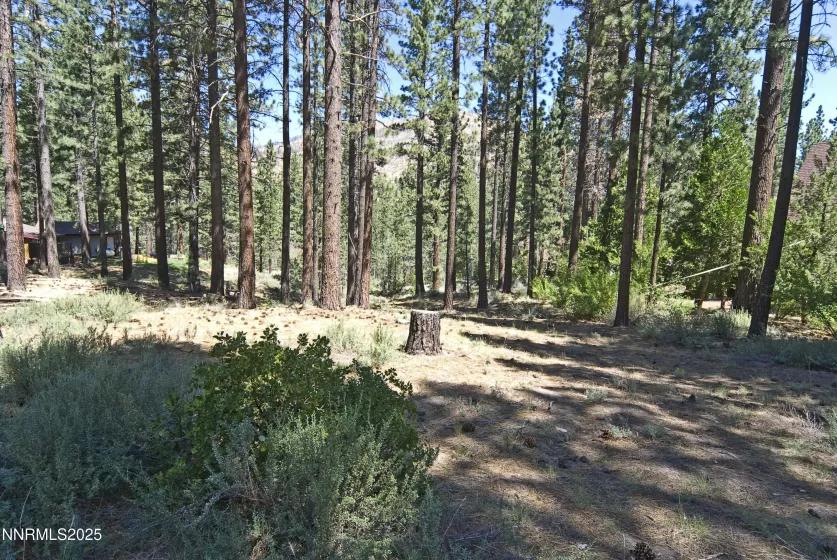 50 Pinon, Markleeville, California 96120, ,Land,Residential,Pinon,250003510
