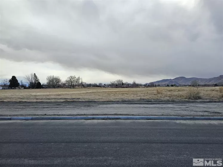 Compston, Yerington, Nevada 89447, ,Land,Residential,Compston,250001438